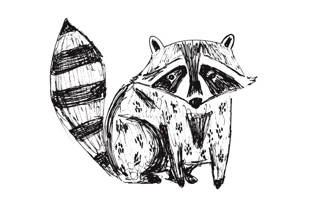卡通浣熊图案logo
