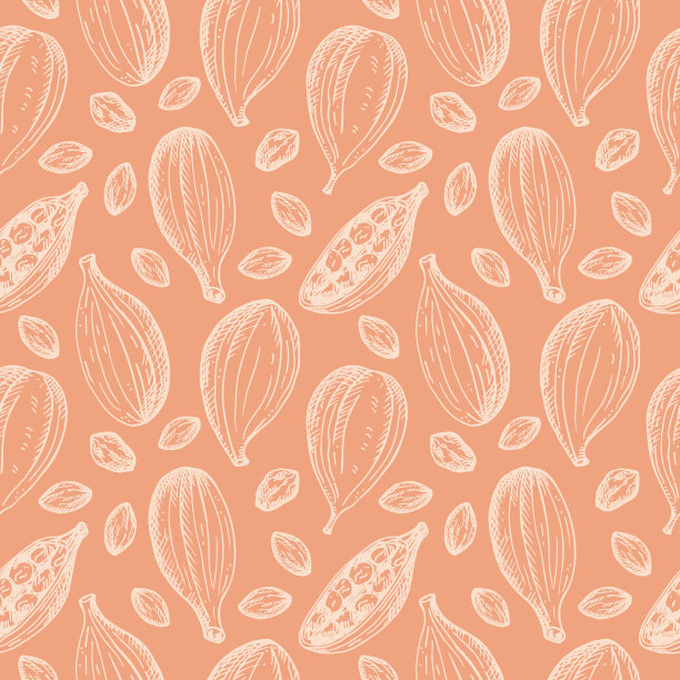 豆荚草药包装插画