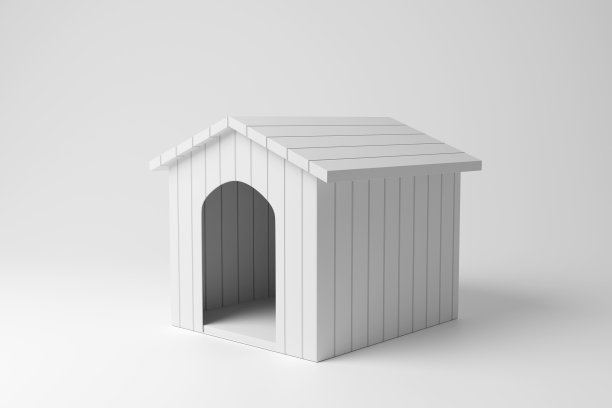 设计小巧-黑白房屋