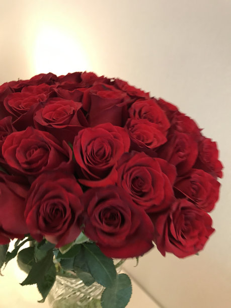 玫瑰,周年纪念,事件