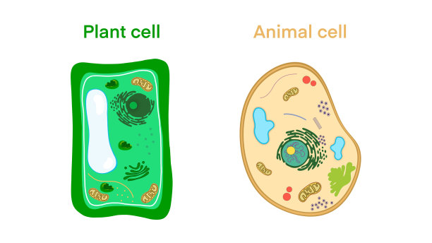 生物细胞学科