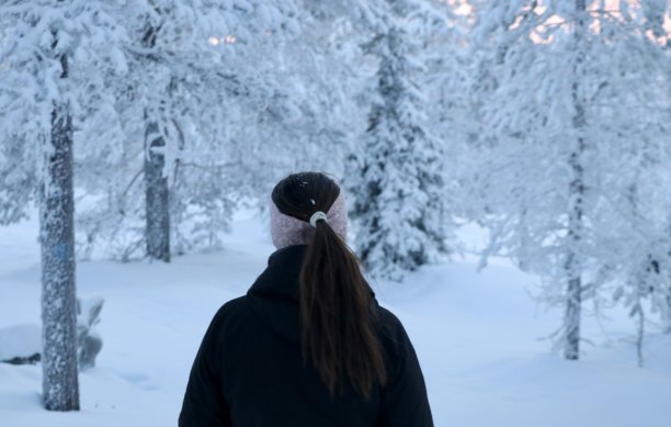 冬季芬兰北部白色的雪原与森林