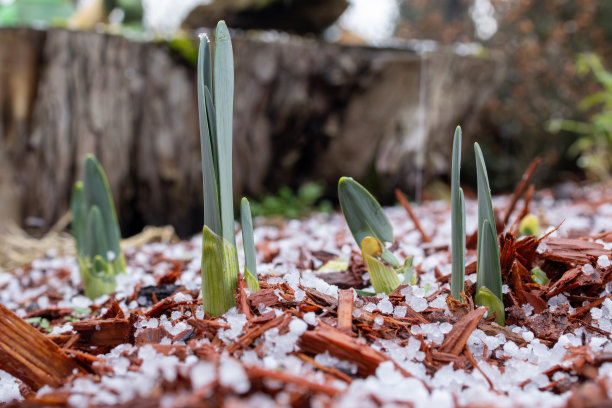 立冬大雪小寒雨水