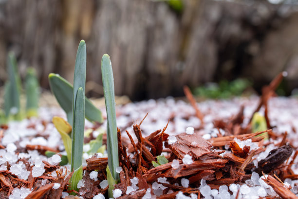 立冬大雪小寒雨水