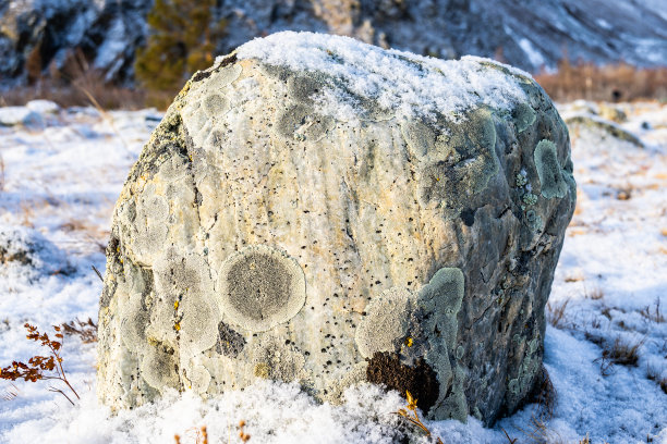 蘑菇石纹理背景素材