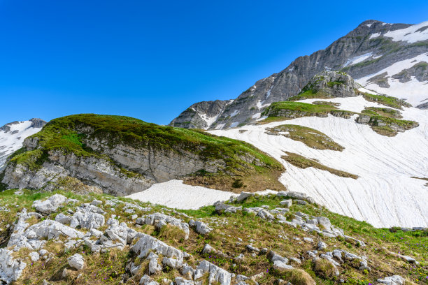 雪山森林草原