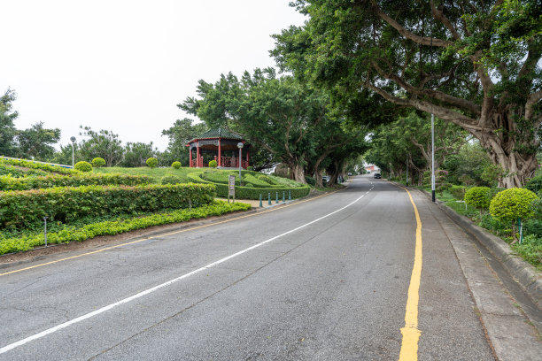 道路 蓝天 公园 树荫 阳光 