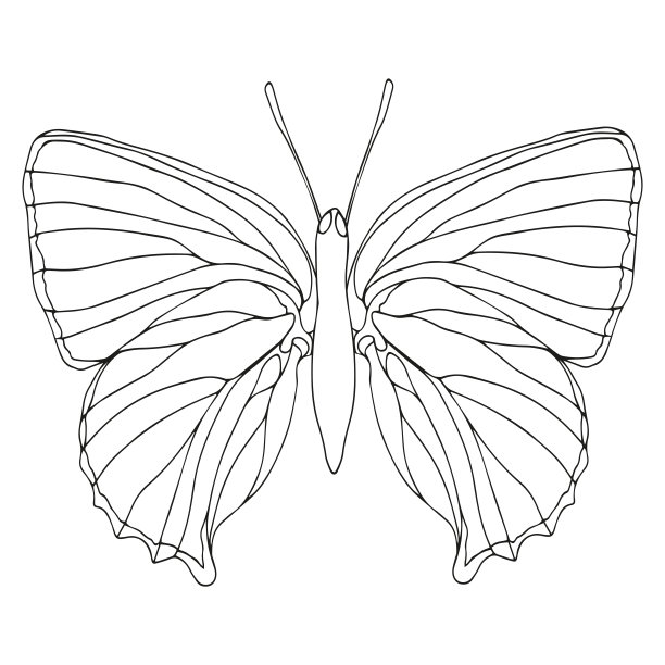 简笔蝴蝶logo