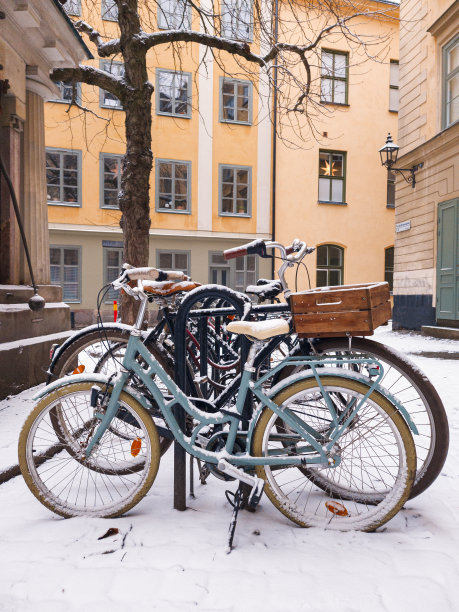 雪中的共享单车,共享单车