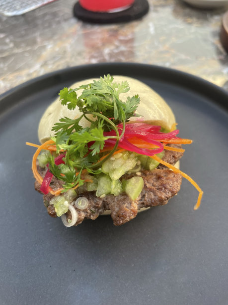 肉制品,海鲜酱,墨西哥卷饼