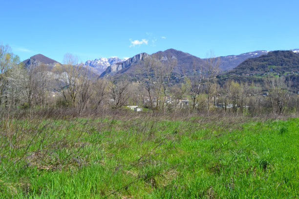 雪山森林草原