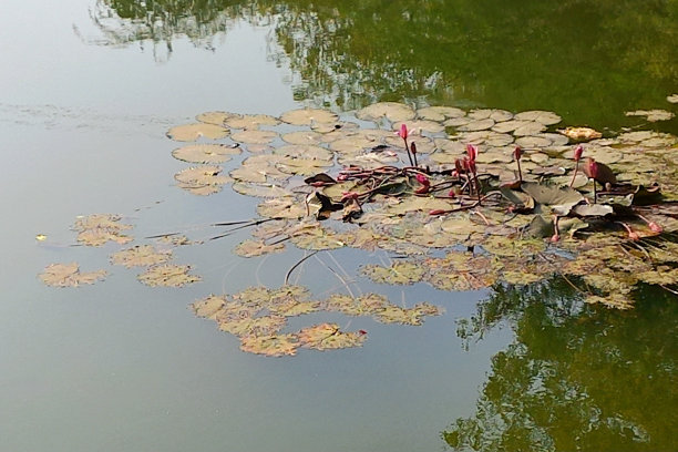 蓝湖水波浪花