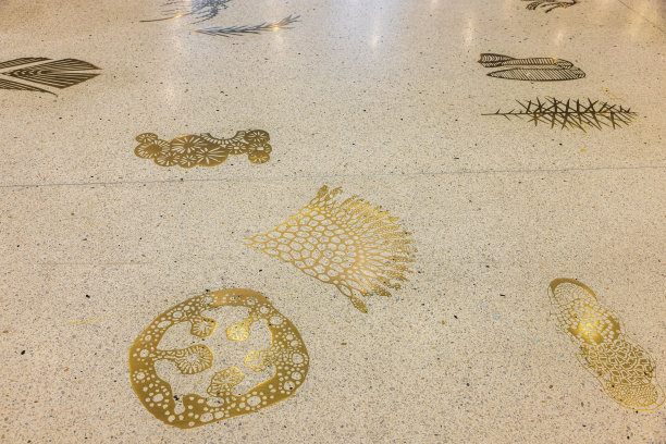 机场瓷砖