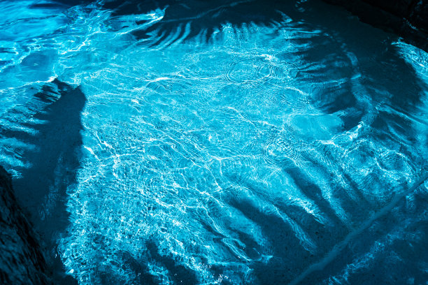 清新蓝绿棕榈叶图案背景