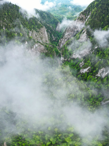 山林烟雨