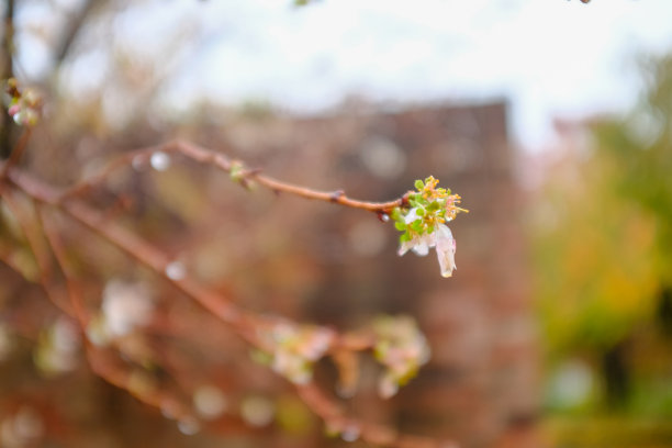 立冬大雪小寒雨水