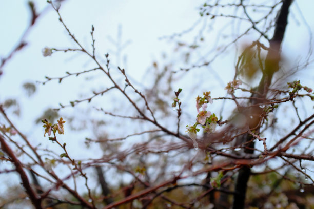 立冬大雪小寒雨水