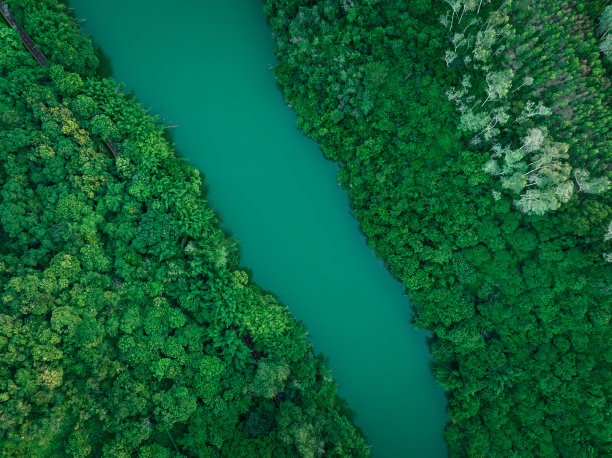 深圳水库