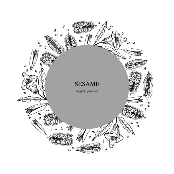 黑芝麻包装插画
