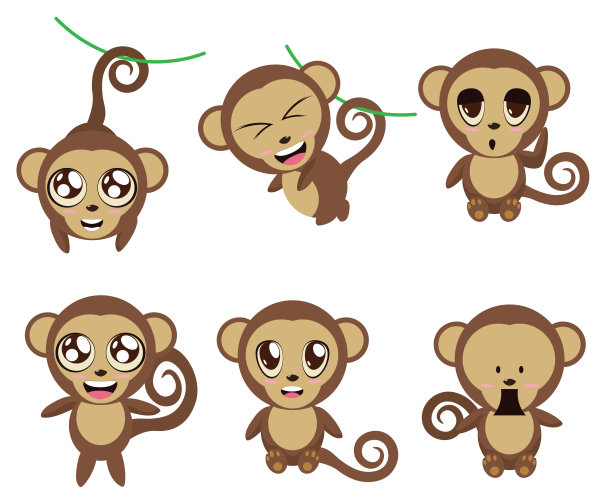 猿,黑猩猩属,狒狒