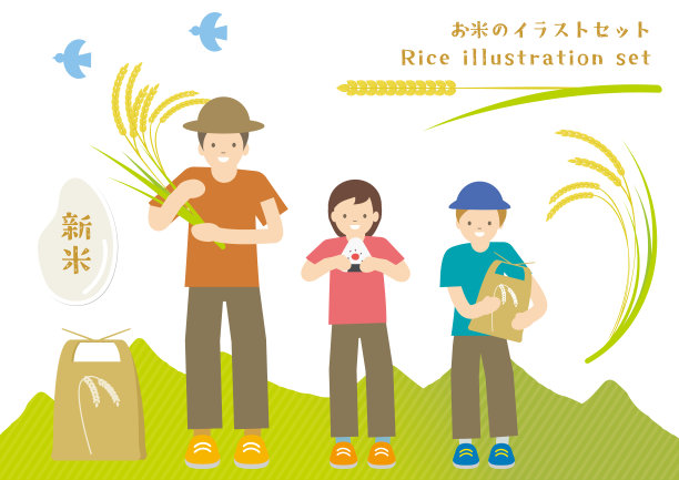 水稻农产品名片