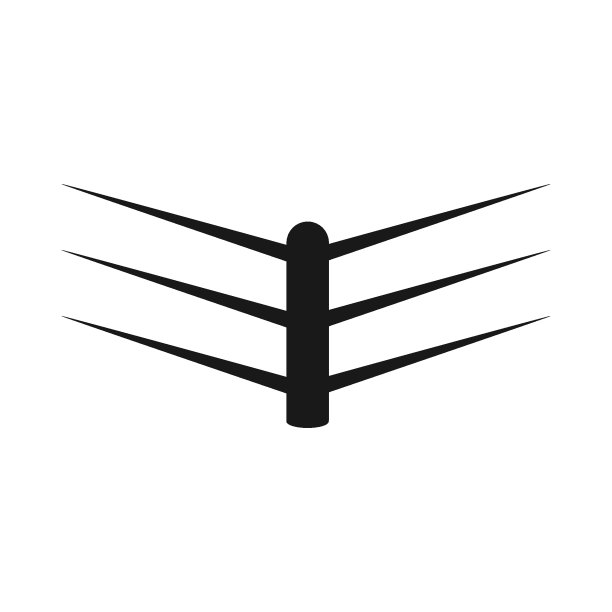 拳套logo