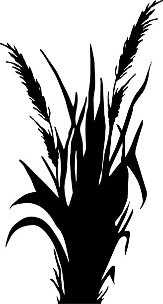 湿地logo