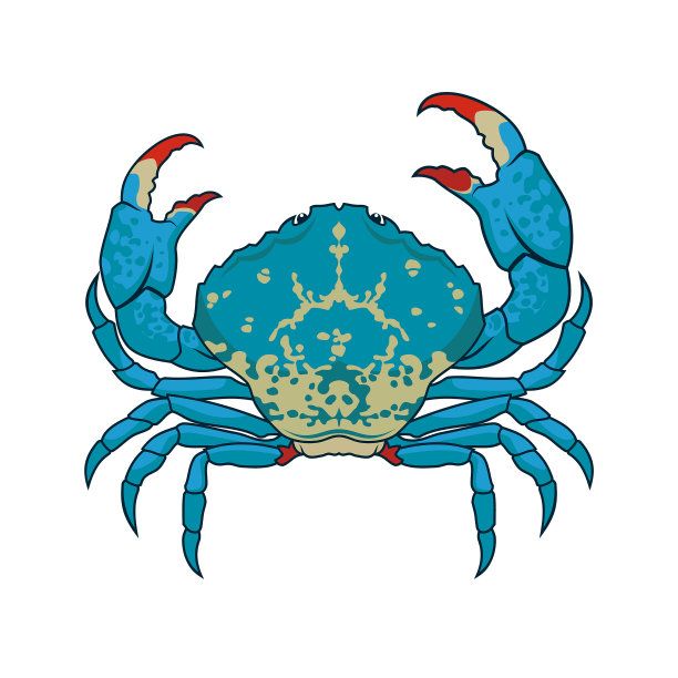青蟹插画