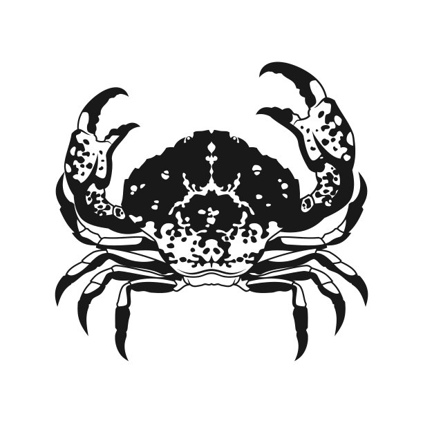 青蟹插画