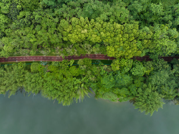 深圳水库