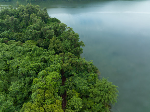 深圳水库