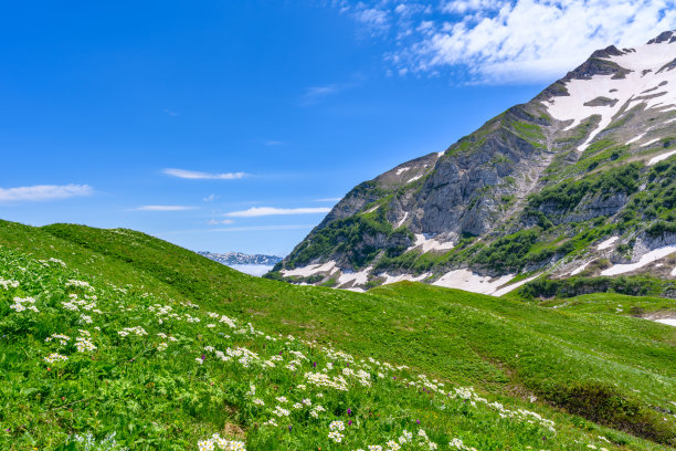 雪山森林草原