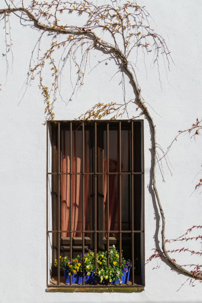 中式门窗棂花