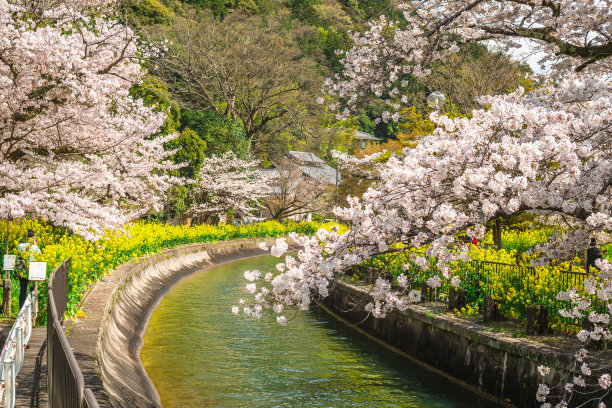 河边通道