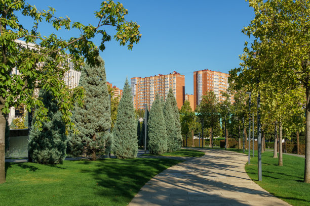 公园绿化工程