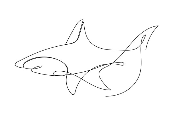 鲨鱼线稿