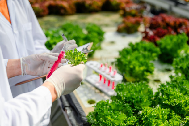 女科学家研究培养植物