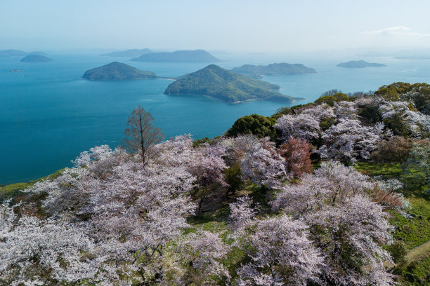 春夏秋冬标志建筑