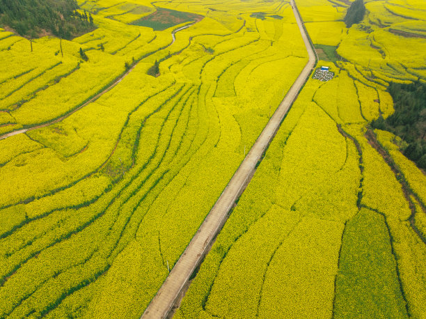 岭南田园风光,绿色田园,乡村