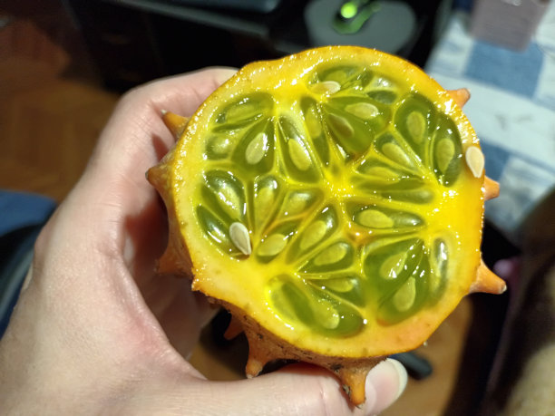 刺角瓜