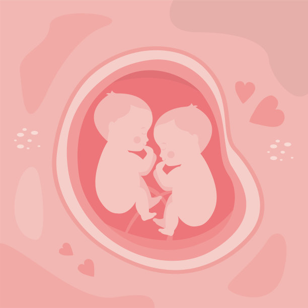生命科学胎儿分娩