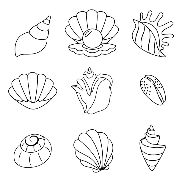 热带鱼,贝壳,符号
