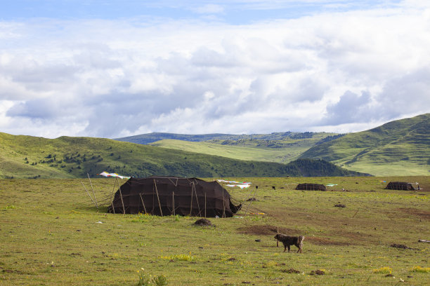 藏族帐篷