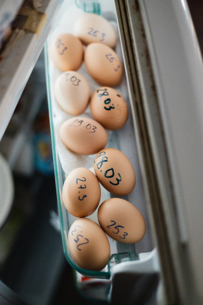 鸡蛋盒,冰柜,厨房