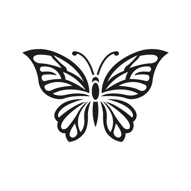 放飞梦想logo