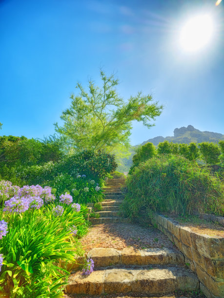 南植物园风景