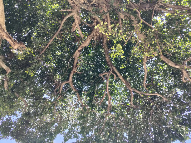 巴音布鲁克旅游