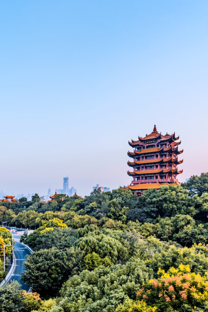航拍视角,武汉,建筑