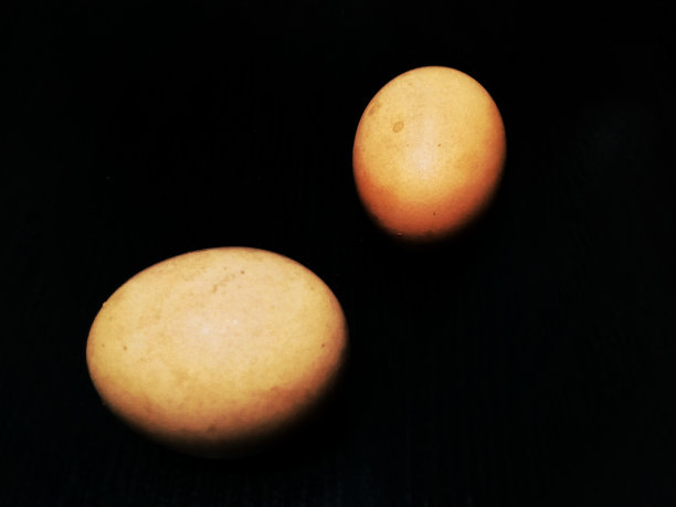 蛋黄果高清图片