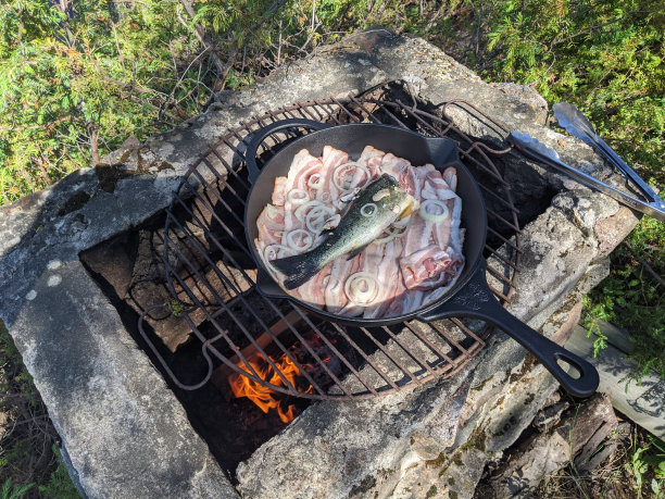 淡水鱼,格子烤肉,烧烤